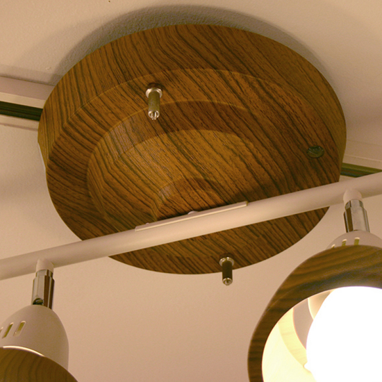 Harmony-remote ceiling lamp CEILING LIGHT | ARTWORKSTUDIO 公式