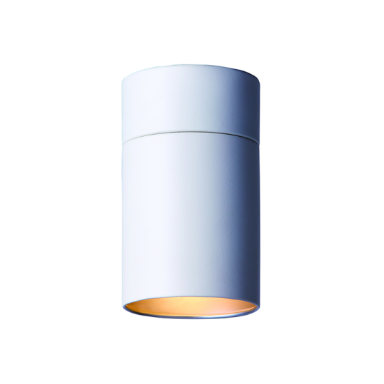 Tube-down light (L) CEILING LIGHT | ARTWORKSTUDIO 公式オンライン通販